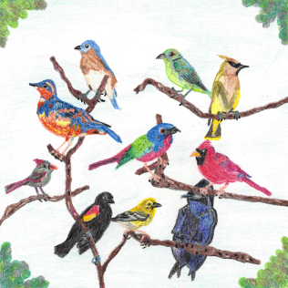 The Gathering, colored pencil drawing by Darren Olsen at The Draw