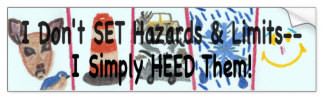 Hazards and Limits Anti-Speeding Bumper Sticker, product at The Draw on Zazzle