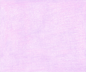 Fuchsia Wall, colored pencil drawing by Darren Olsen at The Draw