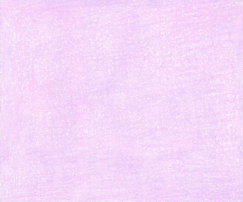 Fuchsia Wall, colored pencil drawing by Darren Olsen at The Draw