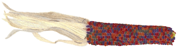 Vibunzi 1 Rev, colored pencil drawing by Darren Olsen at The Draw