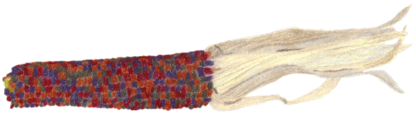 Vibunzi 1, colored pencil drawing by Darren Olsen at The Draw