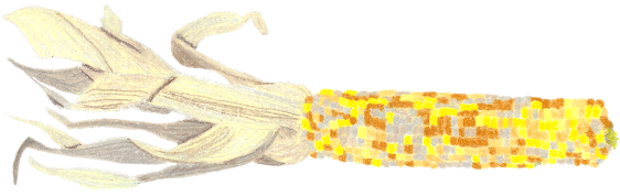 Vibunzi 2 Rev, colored pencil drawing by Darren Olsen at The Draw