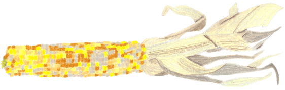 Vibunzi 2, colored pencil drawing by Darren Olsen at The Draw