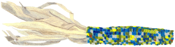 Vibunzi 3 Rev, colored pencil drawing by Darren Olsen at The Draw